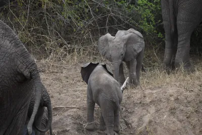 DSC_4087 (Large).JPG